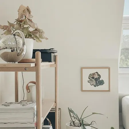 Apartmán Codak *